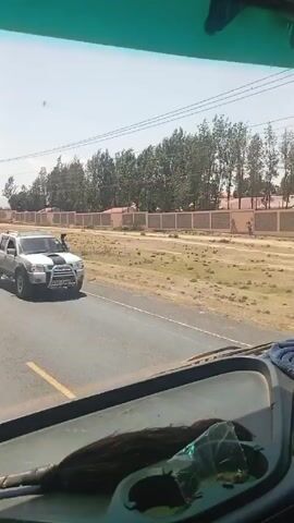 The video shows a view from the windshield of a vehicle driving on a paved road. The road has a yellow line marking the lanes. On the right side of the road, there is dry, grassy land with scattered vegetation. A long, light-colored wall runs parallel to the road, separating it from what appears to be a residential or institutional area with trees and buildings visible behind the wall. Power lines are visible running alongside the road. Another truck passes on the left side of the camera. The sky is clear and bright. The dashboard of the vehicle is visible in the foreground, and a duster-like object is lying on it. The camera remains steady throughout the clip, capturing the movement of the vehicle. A conversation can be heard in the audio.
