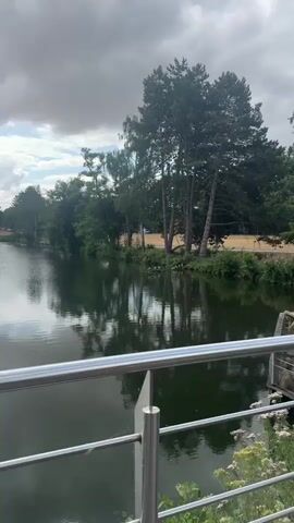 The video shows a calm body of water, likely a lake or pond, with lush green trees and vegetation along the bank. The trees are reflected in the still water, creating a symmetrical effect. In the foreground, a silver railing is visible, suggesting the video was taken from a balcony or deck. Several geese are gathered on a fallen log in the water, some perched on the log and others standing on the bank. In the background, a road or path runs parallel to the water's edge, and a blue car is visible in the distance. The sky is partly cloudy.