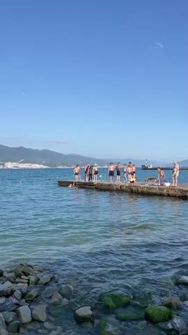 This media file captures a lively scene at a pier on a sunny day. The primary subjects are a group of people, mostly young men and boys, gathered on a concrete pier extending into a calm, blue sea. Some are standing and chatting, while others are near the edge, appearing to be preparing to jump into the water. One person is already in the water near the pier. A dog is also visible on the pier, interacting with the people.

The setting is a coastal area with mountains in the background, suggesting a resort or recreational location. The clear blue sky and calm water indicate fair weather, likely during the daytime, possibly late afternoon given the light. The overall mood seems relaxed and joyful, consistent with people enjoying a day at the beach or by the sea. There is no visible text within the media file.