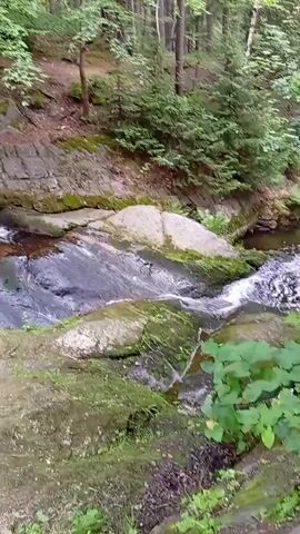 A cascading waterfall flows over moss-covered rocks in a forest. The water is clear and reflects the surrounding greenery. Trees with lush foliage tower over the scene, creating a serene and natural environment.