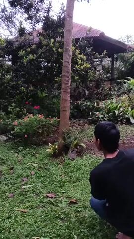 A barefoot man in a dark shirt and jeans is crouching and crawling on the ground in a garden. He moves past a tree, with a variety of plants and flowers visible around him. In the background, there is a building with a covered roof structure. The scene is outdoors, likely in a residential or natural setting.