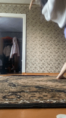 Early morning domestic life moments captured across indoor settings