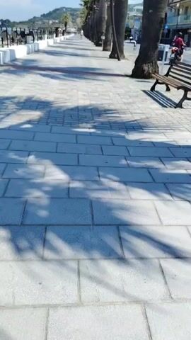 This is a first-person perspective video of a walk along a sun-drenched promenade in Agropoli, Italy. The scene is a coastal walkway lined with tall palm trees, casting dappled shadows on the tiled pavement. The promenade overlooks a picturesque beach with people enjoying the sunshine and umbrellas dotting the sand. In the distance, a hillside dotted with buildings and vegetation slopes down towards the sea, hinting at the charming Italian coastal town.

The activity is a leisurely stroll, captured from the viewpoint of someone walking forward. The time of day is clearly midday, with the bright sun high in a clear blue sky and casting strong shadows. The weather appears to be warm and sunny, ideal for a beachside walk.

Notable details include the patterned tiled walkway, the dark wooden benches along the promenade, and a few individuals walking in the distance. A red motorcycle is visible briefly on the road adjacent to the promenade. The overall emotion conveyed is one of relaxation and enjoyment of a beautiful summer day in a scenic location. There is no visible text in the video.