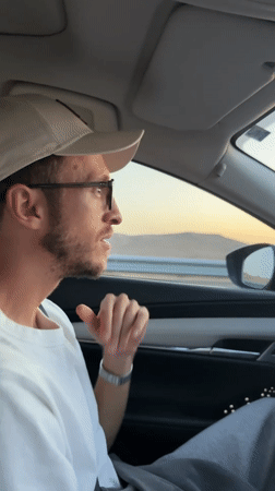 Driver making hand gestures captured on video in Israel