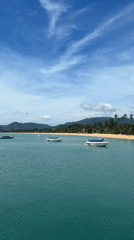 Tourist documents arrival and exploration of Koh Samui beaches