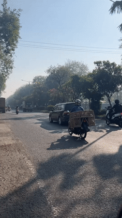 Heavy mixed traffic flows through a sunlit road in Gelam