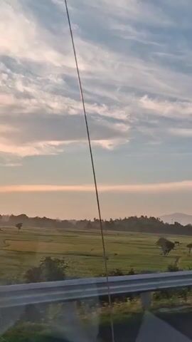 The video shows a view from a moving vehicle looking out at a rural landscape during what appears to be sunrise or sunset. The sky is filled with wispy clouds, and the light is soft and warm. In the foreground, there is a road with a white guardrail. Beyond the guardrail is a green field, possibly farmland, with scattered trees. Further in the distance, there is a line of palm trees and lush vegetation, with hills or mountains visible on the horizon. The overall impression is one of tranquility and natural beauty.