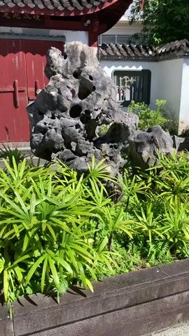 The video shows a slow pan across a traditional Chinese garden. The camera begins in front of a large, intricately carved rock, with lush green plants surrounding its base. Behind the rock, a building with red doors and a curved, tiled roof is visible. The camera then pans left, revealing a white wall with a decorative window and a small stone sculpture on a pedestal. Further to the left, a circular archway, characteristic of Chinese gardens, leads to a glimpse of greenery beyond. The video concludes by panning back towards the wall and the window, showing more of the garden's stonework and foliage. The overall impression is one of tranquility and traditional aesthetics. There are no people or animals in the video.