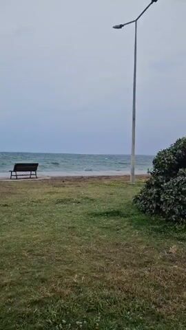 The video pans across a coastal area on an overcast day. In the foreground, there is a grassy area with a large, dense bush. To the left, a tall street light is visible. Further back, the sea is visible behind a line of trees. In the middle ground, two tall palm trees are bent by the wind, and there appears to be a children's playground with colorful equipment. A paved walkway and road run along the right side of the frame. Beyond the walkway and road, there are several buildings, including shops and apartment complexes, with some palm trees in front of them. The sky is filled with dark, heavy clouds, suggesting a storm is approaching or has recently passed. The overall atmosphere is somewhat dramatic due to the wind and the dark sky.