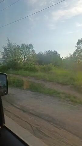 The video shows a view from a vehicle moving along a dirt road. Lush green vegetation, including trees and grass, lines the side of the road. The sky is partly cloudy with the sun shining through, creating a lens flare effect. The sun appears to be setting or rising, casting a warm glow on the landscape. The road surface is uneven and appears to be made of dirt and gravel. The scene conveys a sense of a rural or natural environment.