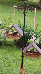 Sparrows flock to backyard bird feeders in Rosinka