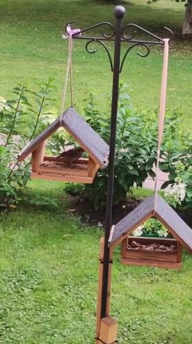Sparrows flock to backyard bird feeders in Rosinka