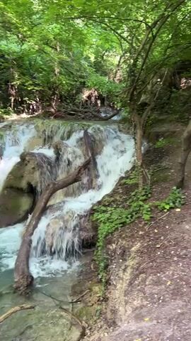 A video shows a picturesque waterfall cascading down moss-covered rocks in a lush, green forest. The water is clear and turquoise, flowing into a shallow pool below. Sunlight filters through the dense canopy of trees, illuminating the scene. A fallen tree branch lies partially submerged in the water, adding to the natural beauty of the environment. The sounds of the rushing water and the rustling leaves create a serene and peaceful atmosphere.