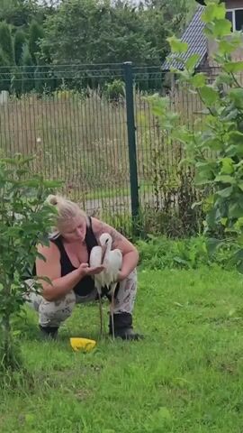 A woman with blonde hair tied back in a bun, wearing a black tank top and patterned leggings, is squatting in a grassy yard. She is holding two white birds, possibly storks, with long legs and beaks. She appears to be feeding or caring for them. A yellow bowl is on the ground near her. A wire fence and trees are in the background, with a building visible in the upper right corner. The lighting suggests it is daytime.