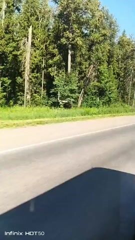 A silver minivan drives past the camera on a paved road. The road is bordered by a grassy shoulder and a dense forest of green trees. The sky is clear and blue. The timestamp indicates the video was recorded on an Infinix HOT 50 device.