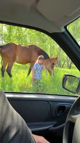 The video is shot from the interior of a car, looking out through the front passenger window into a sun-drenched, green grassy field. An adult brown horse with a black mane and tail and a lighter brown foal are the main subjects in the background. A young child, wearing a light-colored patterned short-sleeved shirt and camouflage pants, walks into the frame from the left, smiles, and waves towards the camera (presumably held by someone in the car). She then approaches the horses. The foal, appearing curious, nudges the child's side with its head. The adult horse remains calm, grazing nearby in the lush vegetation. The background features several light-barked trees, suggesting a natural, possibly rural, environment. The time of day is bright and sunny, indicating clear weather. Part of a person's arm and shoulder are visible in the car's foreground, along with the car's dark interior door panel and a glimpse of the steering wheel. The overall impression is a peaceful and engaging interaction between the child and the horses. No visible text is present. The location context provided is Nizhniy Atlyan, Russia.