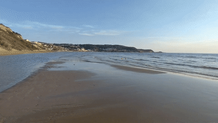 Sunset beach walk with dog captured in Agios Stefanos