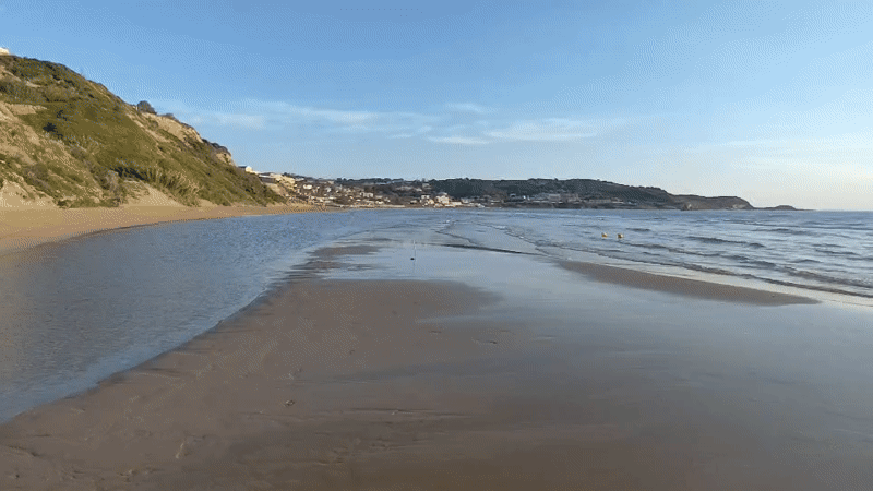 Sunset beach walk with dog captured in Agios Stefanos
