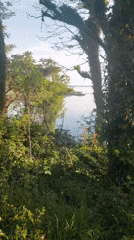 Morning scenes from coastal Bulgarian town captured by witness