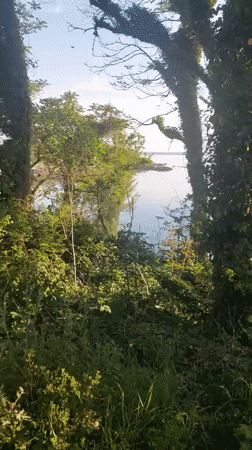 Morning scenes from coastal Bulgarian town captured by witness