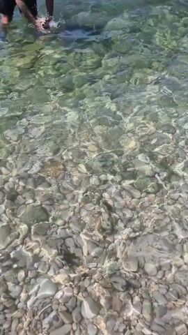 A person is partially visible in the upper left corner of the frame, interacting with the water. Their arms are submerged, and it appears they are holding onto something or someone. The water is clear and shallow, with a rocky bottom clearly visible. The sunlight creates a dappled effect on the water and stones. The person's actions suggest they are playing with or retrieving something from the water, possibly a dog, as splashing is evident. The overall scene appears to be a recreational setting at the edge of a body of water.