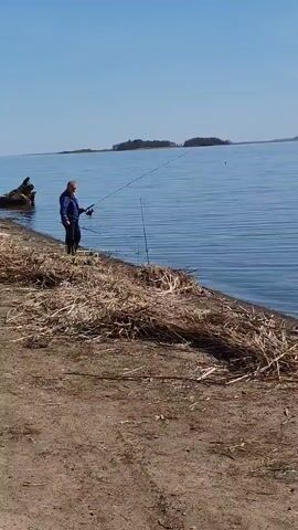The video shows a man fishing on the shore of a large body of water. The man is wearing a blue jacket and dark pants. He is holding a fishing rod and appears to be reeling in his line.  The shoreline is covered with dry reeds and grass, and there is a large piece of driftwood on the left side of the frame. In the distance, there are a few small islands. The sky is clear and blue.
