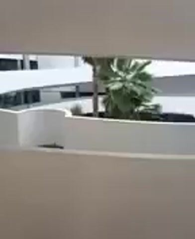 The video shows a view of a courtyard from above, looking down into a multi-level building. The courtyard has a palm tree in the center, surrounded by curved white walls and balconies. There is a body of water below, reflecting the building and the vegetation. The building itself appears to be modern, with clean lines and a light color palette. The camera pans slowly to the right, offering a wider view of the courtyard and the building. There are no people visible in the video.