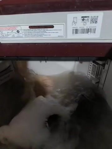 A washing machine is operating. Water and soap suds fill the drum, obscuring the contents. Bubbles rise to the surface and overflow slightly. The washing machine has a maroon-colored lid and white top panel, which displays the LG logo, a barcode, and various labels with instructions and symbols.