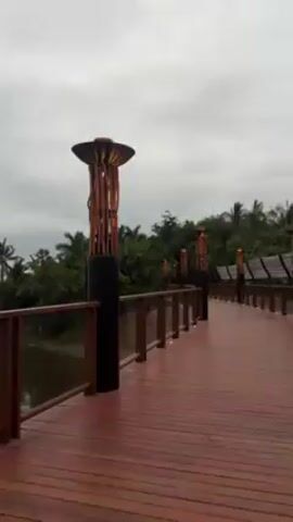 The video shows a wooden walkway with lamps along it, set against a backdrop of lush greenery under a cloudy sky. The walkway is made of reddish-brown wood and has railings along the sides.  The lamps are black and brown and have a unique, decorative design.  The surrounding environment features a body of water visible to the left and dense vegetation in the background.  The overall atmosphere is somewhat overcast and possibly humid.