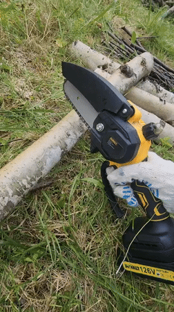 Lazy afternoon: napping cat, backyard bugs, and a chainsaw