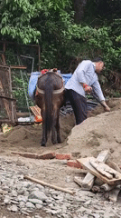 Donkey pack transport, construction work documented in Indian mountain villages