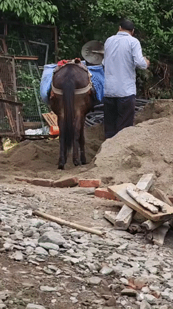 Donkey pack transport, construction work documented in Indian mountain villages