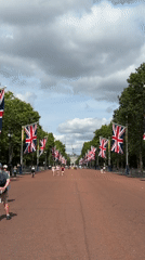 Buckingham Palace and The Mall on a flag-lined June day