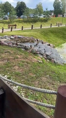 The video shows a small stream with ducks in it. The stream is made of rocks and has a small waterfall. There is grass on the sides of the stream. In the background, there is a parking lot with cars and trees. The sky is cloudy. The video is filmed from a slightly elevated angle, looking down at the stream.