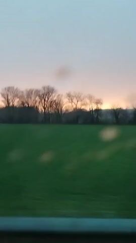 The video, taken from a moving vehicle, shows a green field with bare trees against a pink and grey sky. A large, white, rectangular building with multiple windows and a dark roof appears behind the trees.  Raindrops are visible on the window.