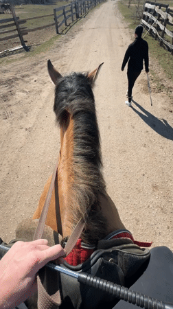 Horse riding documented on dirt road in Kamenka, Belarus