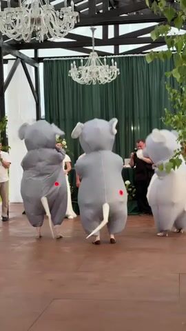 The video shows a wedding reception or similar event. Three people are wearing inflatable elephant costumes, which are gray with white accents, long tails, and round red dots on the backside. They are dancing in the foreground on a wooden floor. Behind them, a bride in a white wedding dress is visible, along with a man in a light-colored shirt and a man in a darker shirt. There are green curtains in the background, and two ornate chandeliers hang from the ceiling structure above. In the far right, another person in a similar inflatable costume is partially visible. One of the elephant-costumed individuals is holding a white spherical object. The overall atmosphere appears festive and celebratory.