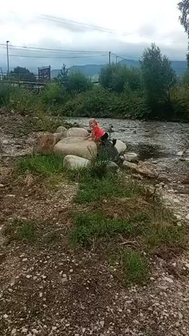 A child wearing a red shirt and black shorts is playing near a river. They are on a large rock formation and are reaching towards the water. The river is shallow with rocks visible beneath the surface. The surroundings are natural, with trees, grass, and a cloudy sky.