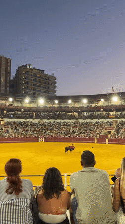 Twilight bullfight draws a full crowd in Málaga