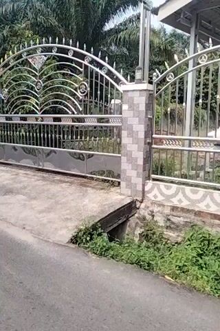 A vertical video shows a person riding a motorcycle down a paved road. On the left side of the road, there is a metal gate with intricate patterns, followed by palm trees and vegetation. Further down the road, there are houses and a utility pole with many wires. The road appears to be in a rural or suburban area. The video is shaky, suggesting movement.