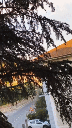 Sunset hour at Lake Trasimeno, from treetops to dusk sky