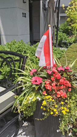 Painted Adirondack chairs and Canada Day festivities in Oakville