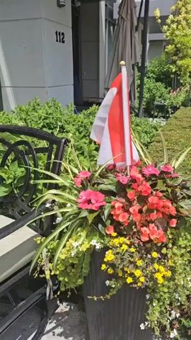 A Canadian flag waves from a planter filled with colorful flowers, including pink and red begonias, and yellow wildflowers. A portion of a black metal bench is visible to the left of the planter. Behind the planter and bench, a building with the number 112 is visible, as well as lush green bushes and trees. The scene is brightly lit, suggesting it is daytime.