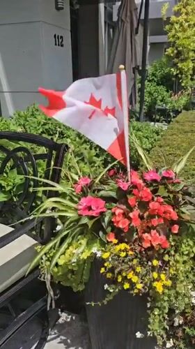 Painted Adirondack chairs and Canada Day festivities in Oakville