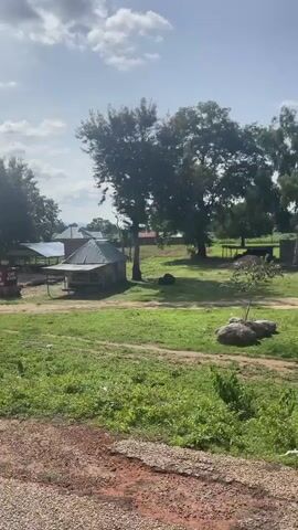 The video pans across a rural landscape under a partly cloudy sky. In the foreground, there is a dirt path. To the left, a small structure with a red sign that reads "CAR WASH" is visible. Further back, there are several simple buildings with corrugated metal roofs, some appearing to be sheds or open-air shelters. Vegetation, including trees and green bushes, is abundant throughout the scene. Some of the buildings are constructed from brick or mud. The overall impression is that of a small, rural settlement or business.