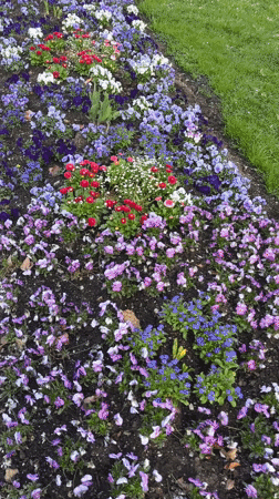 Spring flowers bloom in Garmisch-Partenkirchen park displays