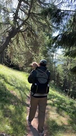 A person walks down a dirt path through a forest, carrying a small dog in a backpack on their back. The dog's head is visible over the person's shoulder, looking forward. The path is lined with green grass and trees, with sunlight filtering through the leaves. In the background, a body of water is visible. The person is wearing a backpack, a hat, and casual clothing. The dog appears to be light brown or golden.