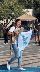 Dogs dressed up and showing out at a New York outdoor event