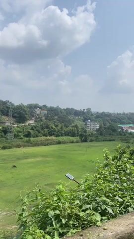 This video captures a panoramic view of a lush green landscape under a partly cloudy sky. The foreground is dominated by dense green foliage. In the middle ground, a vast expanse of green field, possibly a sports ground or pasture, stretches out. A few dark-colored animals, resembling horses or cattle, are visible grazing in the field. Beyond the field, a treelined hillside rises, dotted with buildings and a prominent power pylon. The hillside appears to be a mix of natural greenery and evidence of construction or excavation. The sky is a clear blue with large, fluffy white clouds. The camera pans slowly from left to right, offering a continuous view of the serene, natural setting with human infrastructure integrated into it.