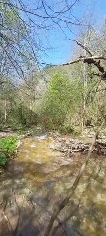 The video shows a small stream flowing through a forest on a sunny day. The water is clear and shallow, and the streambed is visible beneath the surface. The banks of the stream are lined with trees and green vegetation. Sunlight filters through the trees, creating a dappled effect on the water and the surrounding forest floor. In some parts of the stream, there are fallen branches and logs, creating natural barriers. There are no people or animals visible in the video. The camera slowly pans from right to left along the stream.